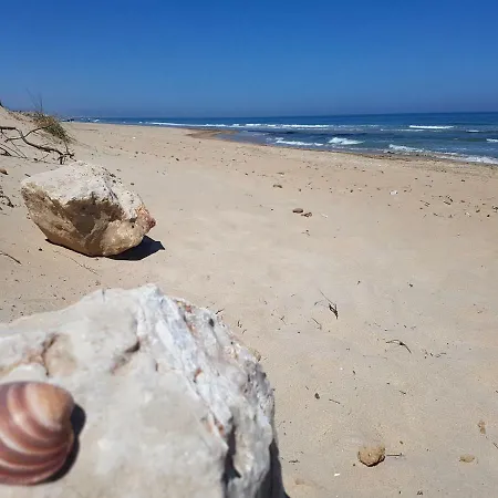 Ferienvermietung David * El Verger